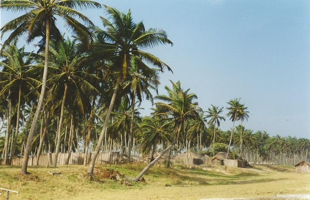 A 1999 view of Grand Popo Beach