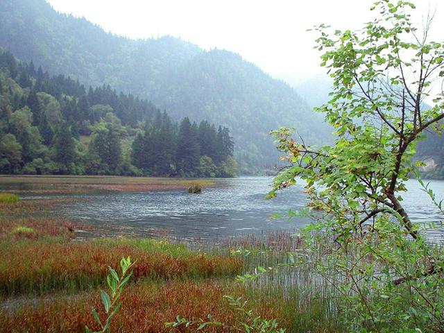 Grass Lake