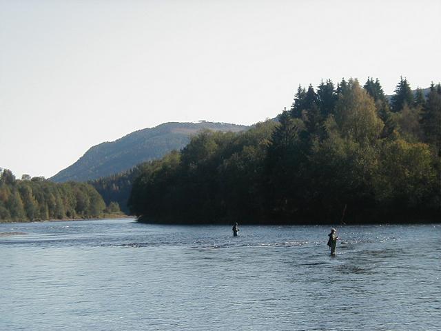 Rod fishing is generally allowed in seawater and the largest lakes. Fishing in small lakes or rivers, as here in Klarälven, Värmland, usually requires a license.