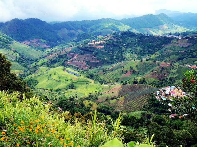 One of the many valleys of Mae Salong