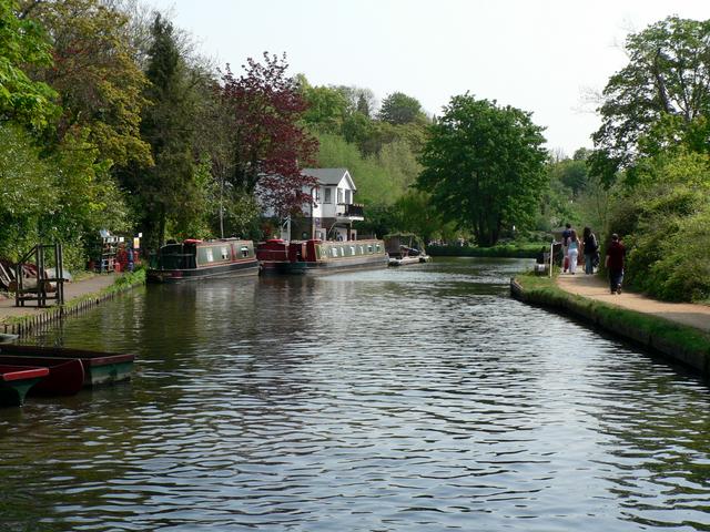 The River Wey, five minutes away from Guildford town centre