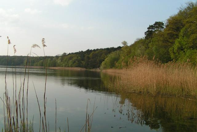 Lake Góreckie in Wielkopolski National Park