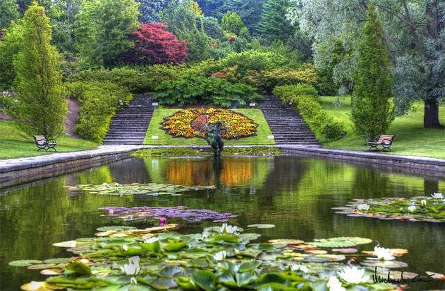 Botanical Garden in June