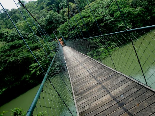 Hanging Bridge, Thenmala