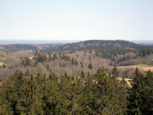 Haanja Upland as seen from the observation tower at Suur Munamägi