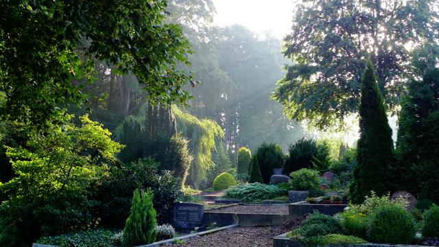 This lovely morning view is of the Hankensbüttel Cemetery