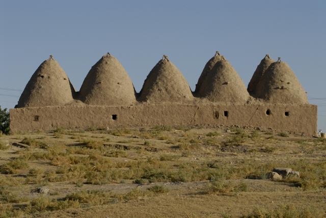 Beehive houses of Harran