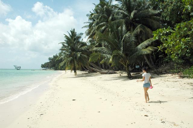 Walking on Beach #5