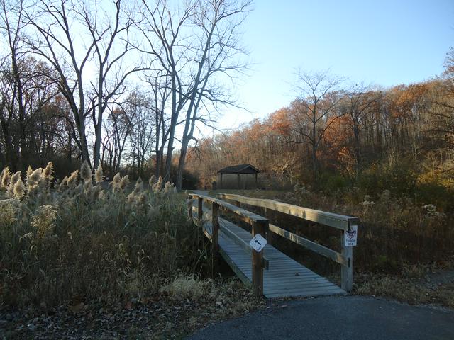 High Pond Trail