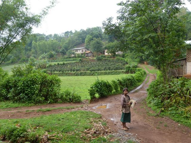 Trekking to Kalaw from Pindaya