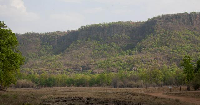 Hilly terrain in the park