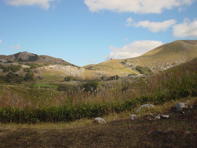 The Hiraodai karst plateau