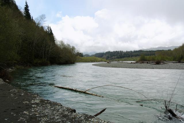 Hoh river