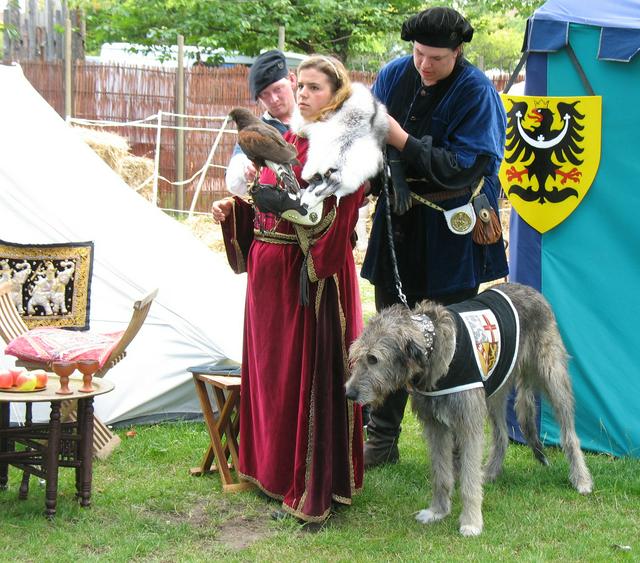 European Medieval Festival.