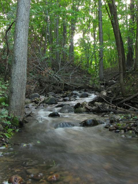 Creek near Monches, in the Loew Lake unit