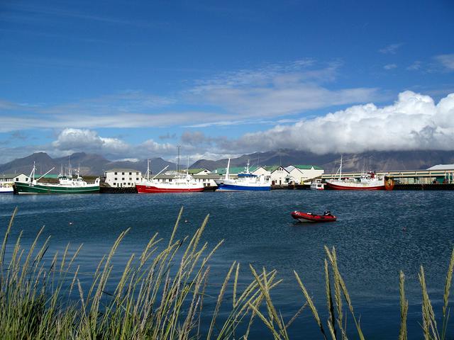 Fishing boats in the harbor of Höfn