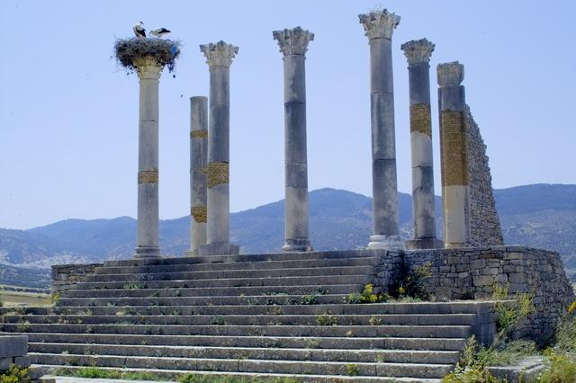 The ancient Roman site of Volubilis