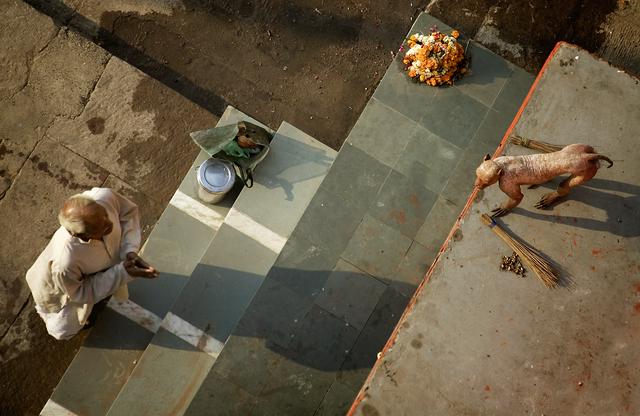 Priest praying to a totally hairless monkey in the Hanuman Monkey temple