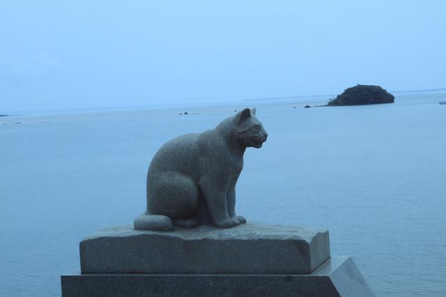 A statue of the Iriomote cat in the mangrove forest