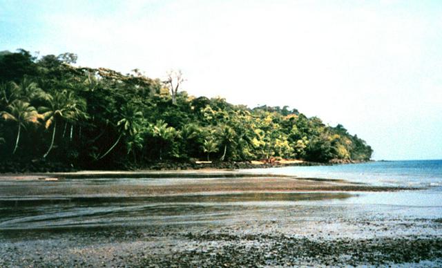 The beach at Isla Gorgona