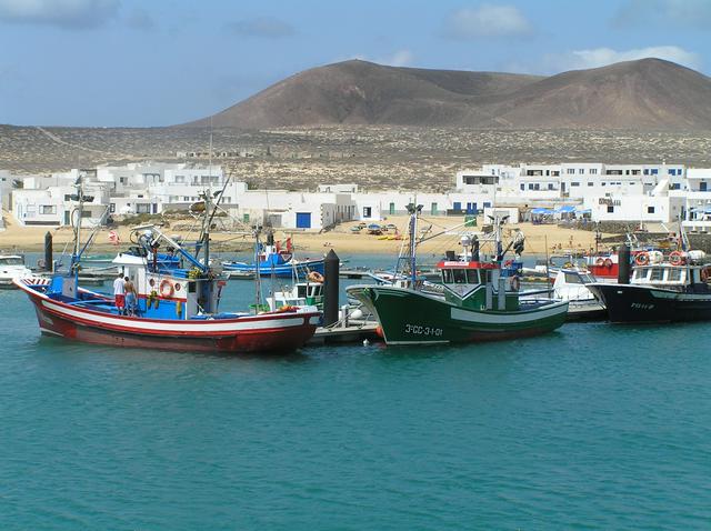 Fishing vessels in the harbour