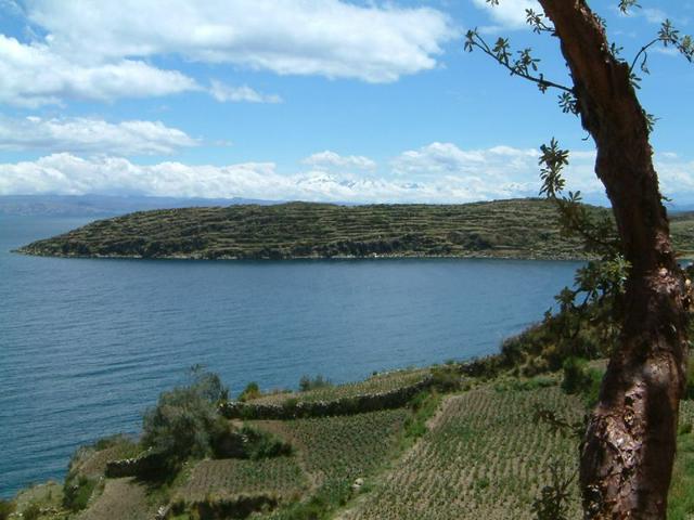 Isla del Sol with peaks of the Cordillera Real in the background