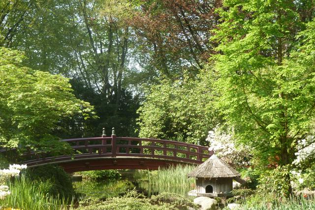 Japanese Garden