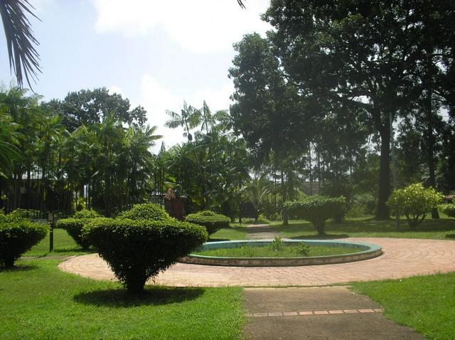 The botanical garden of Cayenne