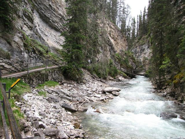 Johnston Canyon