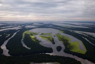 Central Amazon Ecological Corridor