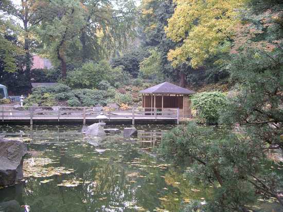 Japanese Garden in the botanic gardens.