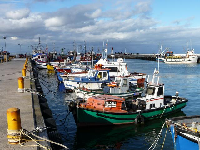 Boats in the Harbour