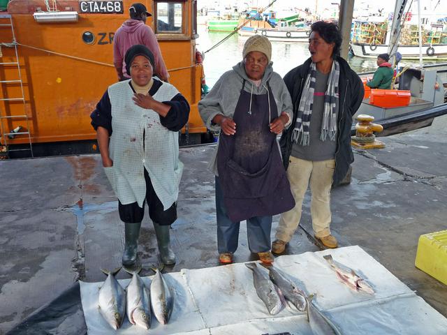 Fresh fish off the boats