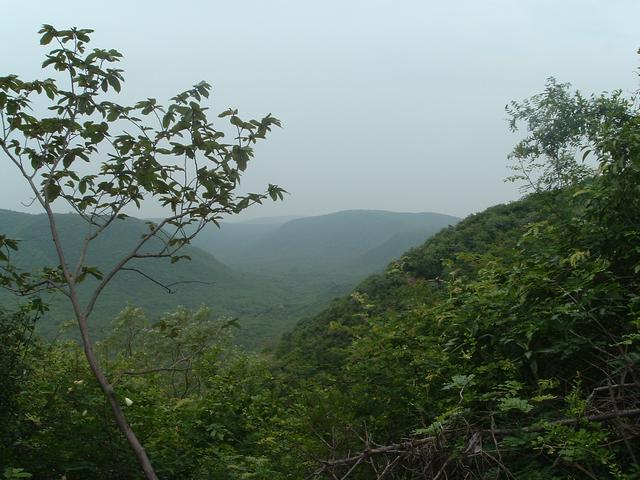 Kambalakonda Sanctuary, Visakhapatnam