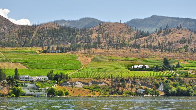 Wineries along the lakeshore in Kelowna