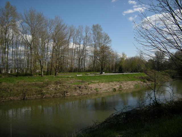 Russell Woods park on the Green River Trail in Kent