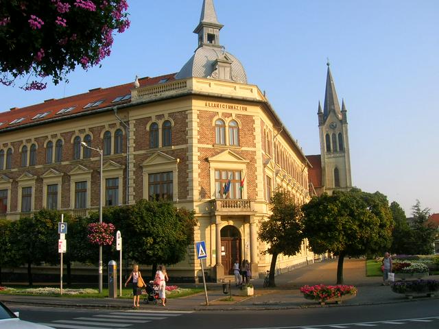 János Vajda High School, monument building