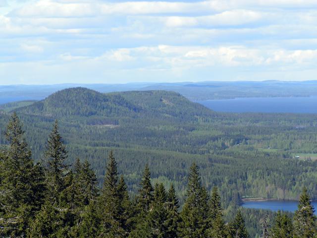 View from a hill in Koli National Park