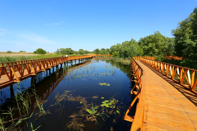 Kopački rit, one of the largest and most preserved intact wetlands in Europe