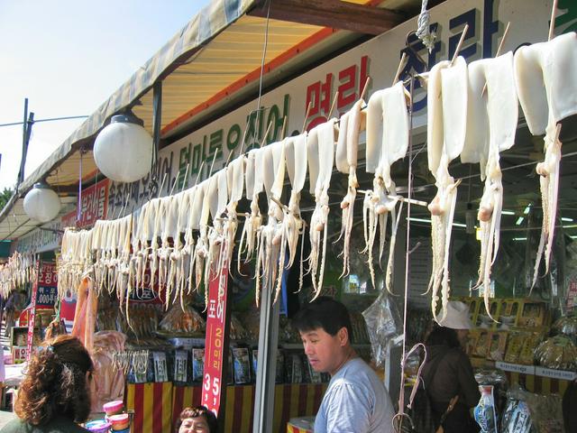 Squid drying at a market in Sokcho