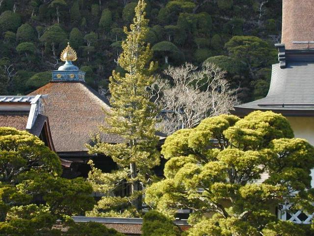 Temple roofs in Mount Koya