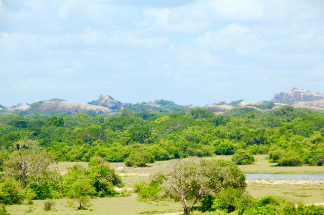 Kumana National Park