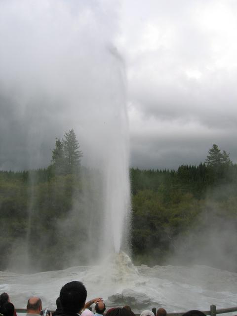 Lady Knox Geyser