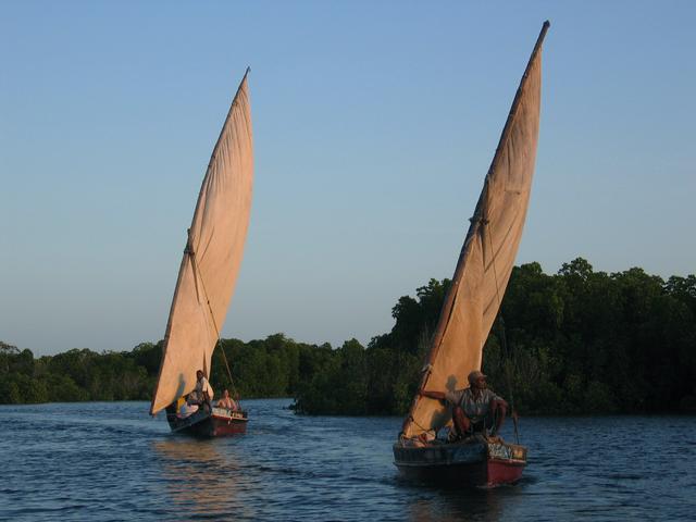 Lamu dhow