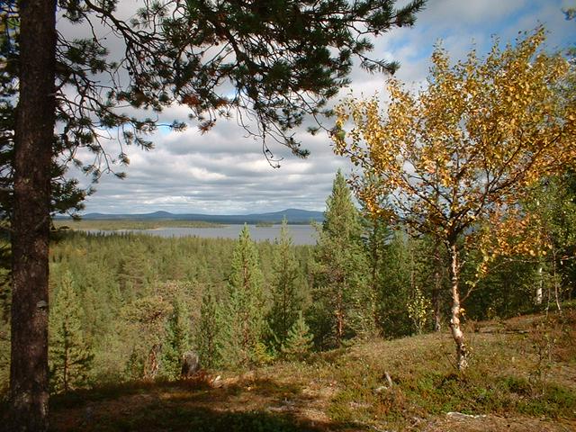 Forest, lake with islands, and fells by the horizon, Finnish Lapland