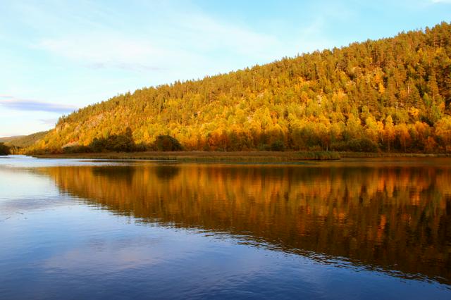 Forested shores in the autumn.