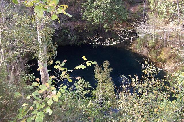 Leon Sinks Geological Area