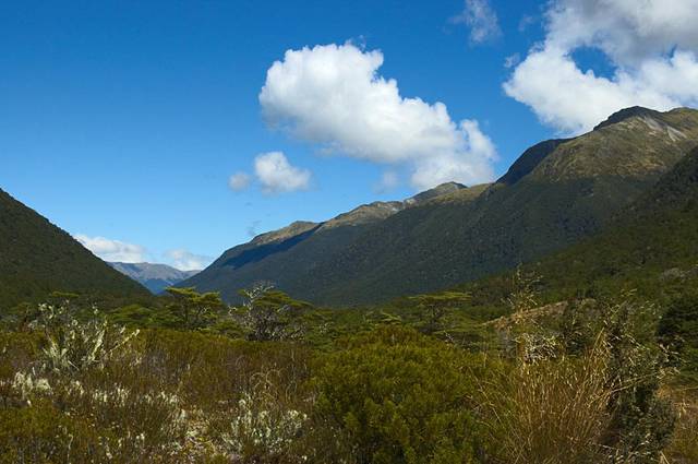 Lewis Pass