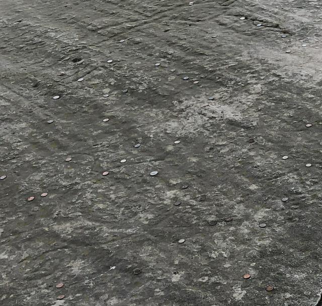 Petroglyphs on Inscription Rock