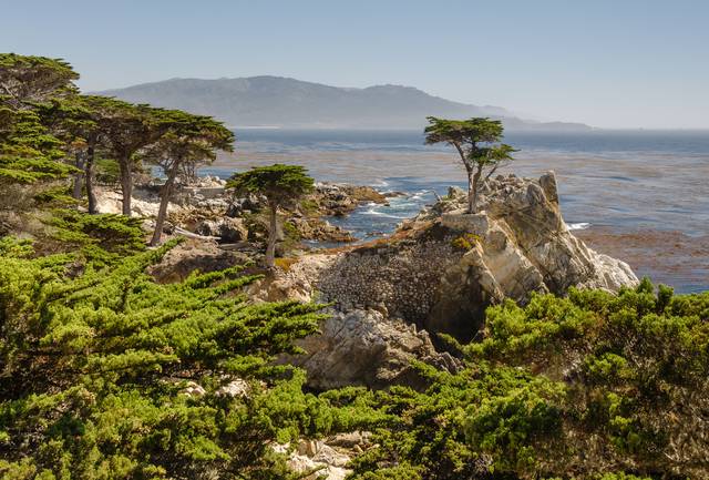 Lone Cypress at 17-Mile Drive